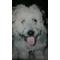 [D:F8EE]動物医療センター[D:F8C7]